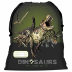Bag for shoes Dinosaurs 10